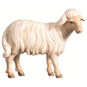 Schaf stehend or.