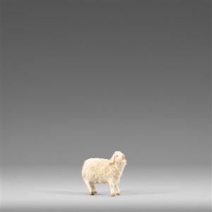 Lamm mit Wolle beige