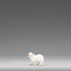 Lamm links mit Wolle weiß