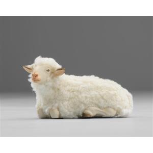 Schaf liegend mit Wolle