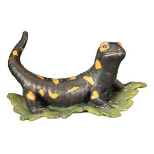 Salamander