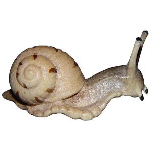 Schnecke