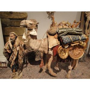Kamel mit Kameltreiber