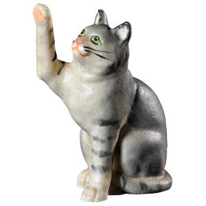 Katze - Pfote nach oben
