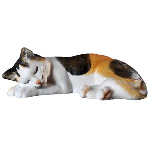 Katzenbaby schlafend