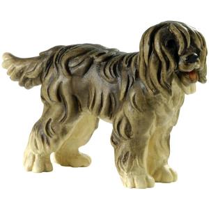 Hirtenhund - Bobtail