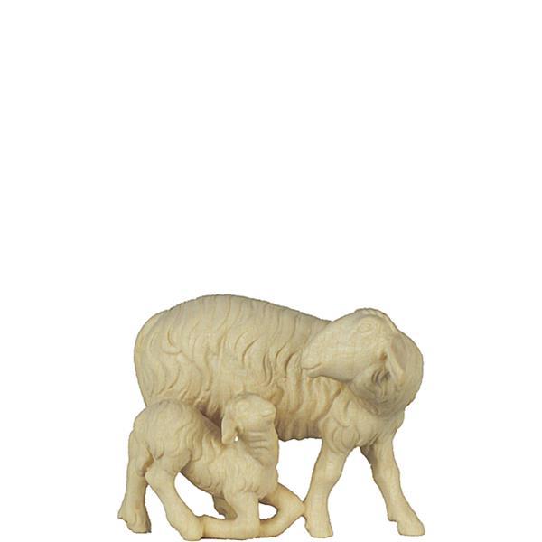 A-Schaf mit Lamm kniend - natur