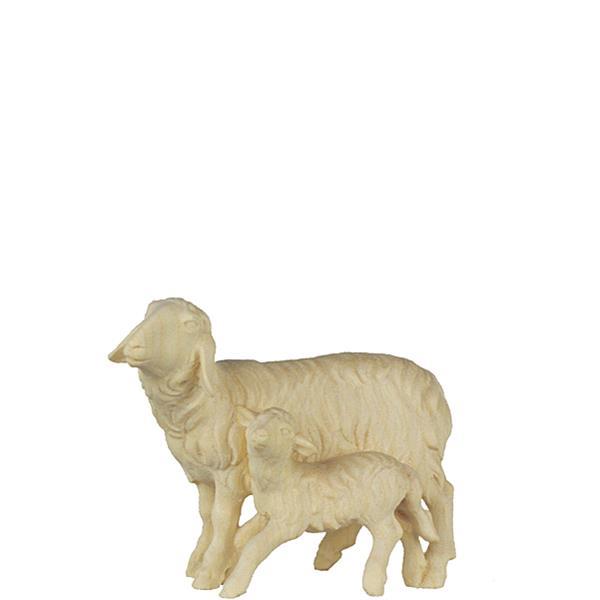 H-Schaf und Lamm stehend - natur