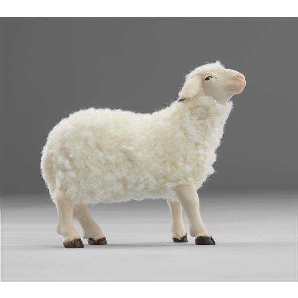 Schaf stehend mit Wolle - Lasiert