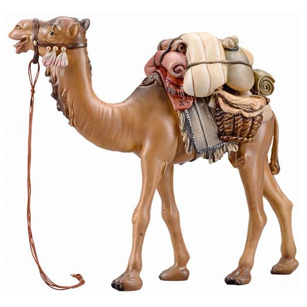 IN Kamel mit Gepäck - Lasiert