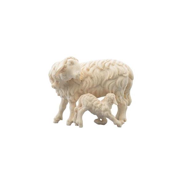IN Schaf mit Lamm saugend - natur