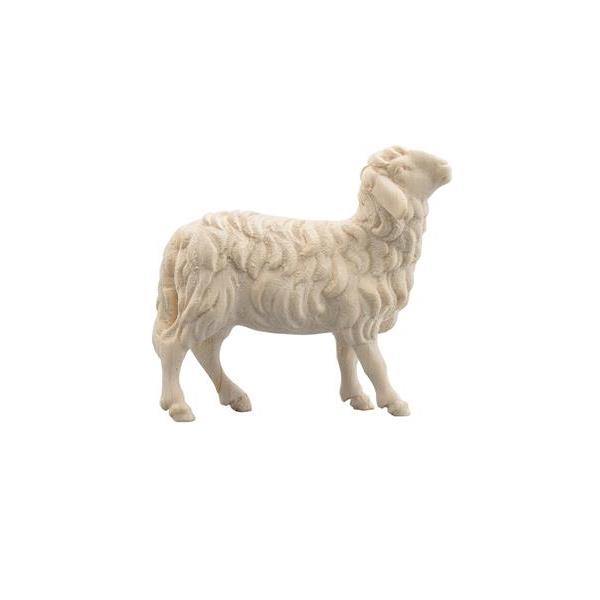IN Schaf rechtsschauend mit Glocke - natur