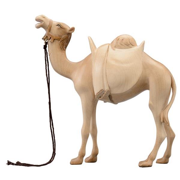 LI Kamel - mehrfach gebeizt