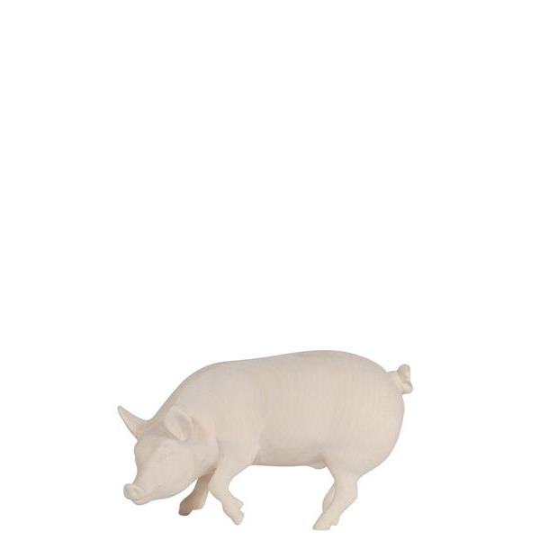 MA Schwein - natur