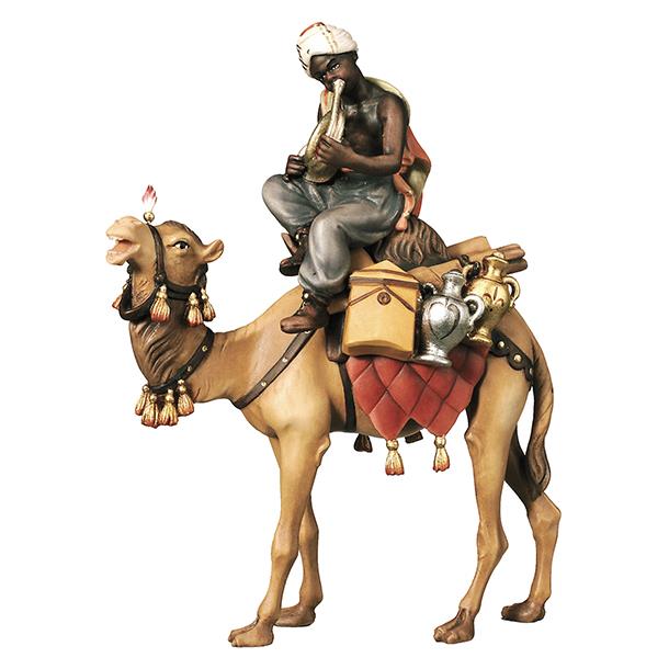 Kamel mit Gepäck und Reiter sitzend - Lasiert