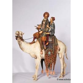 Kamel mit König und Junge