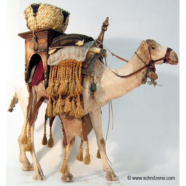 Kamel stehend bepackt - 