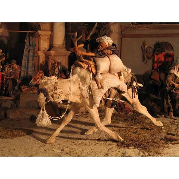 Kamel mit Reiter - 