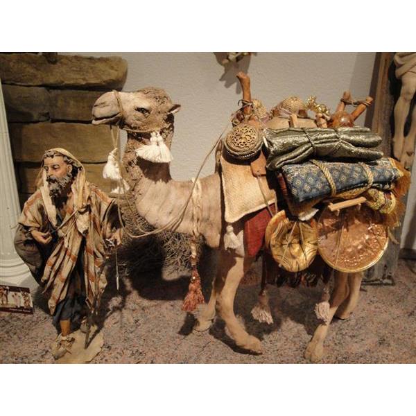 Kamel mit Kameltreiber - 